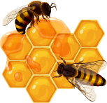 Beeswax Production